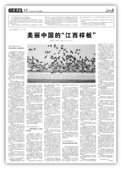致富经王忠华_致富经养黄鳝王忠华_致富经王忠华养黄鳝视频
