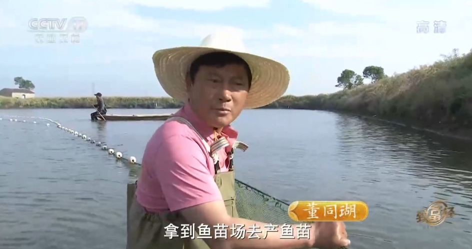 致富经养殖鱼视频_视频致富金鱼养殖_致富经金鱼养殖视频