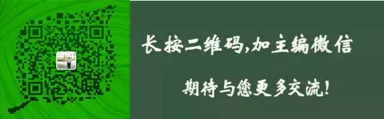 网易养鸡不稀奇，在家养鸡才新鲜！