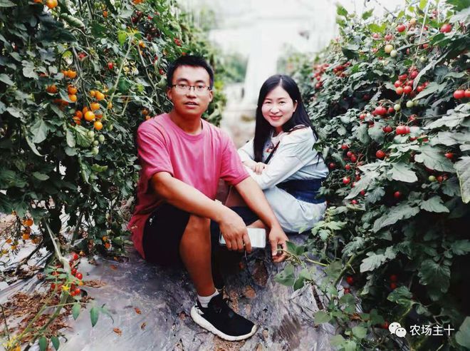 致富经巨型南瓜_致富经南瓜种植视频_巨型致富南瓜图片
