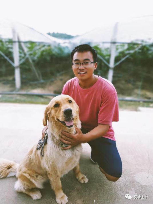 致富经巨型南瓜_致富经南瓜种植视频_巨型致富南瓜图片