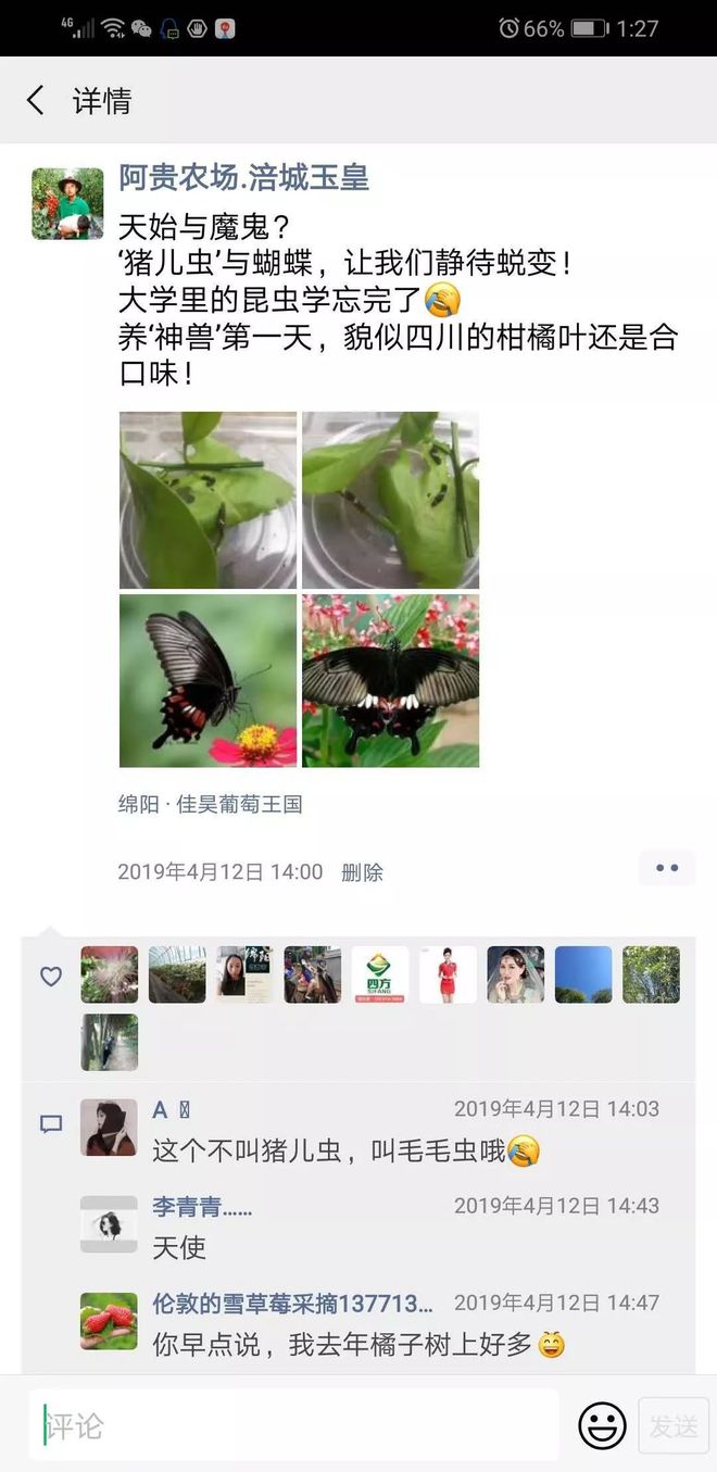 致富经南瓜种植视频_致富经巨型南瓜_巨型致富南瓜图片