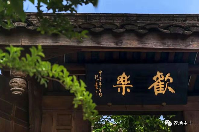 巨型致富南瓜图片_致富经巨型南瓜_致富经南瓜种植视频