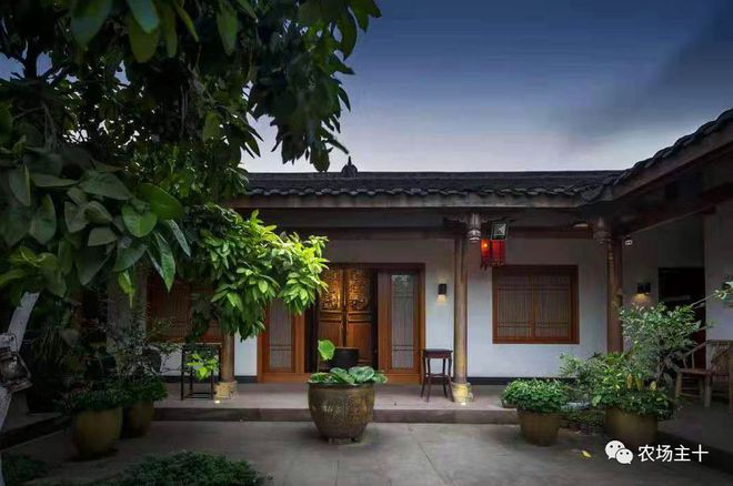 巨型致富南瓜图片_致富经巨型南瓜_致富经南瓜种植视频