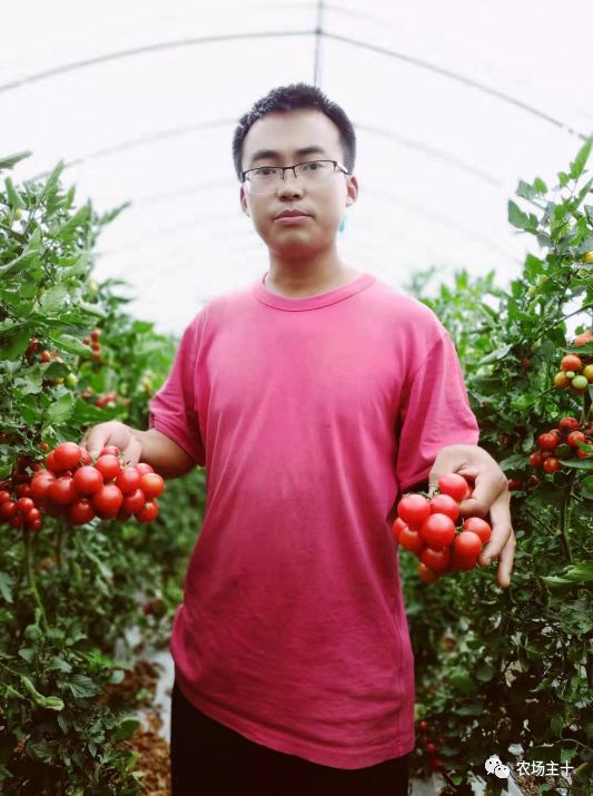 致富经巨型南瓜_致富经南瓜种植视频_巨型致富南瓜图片