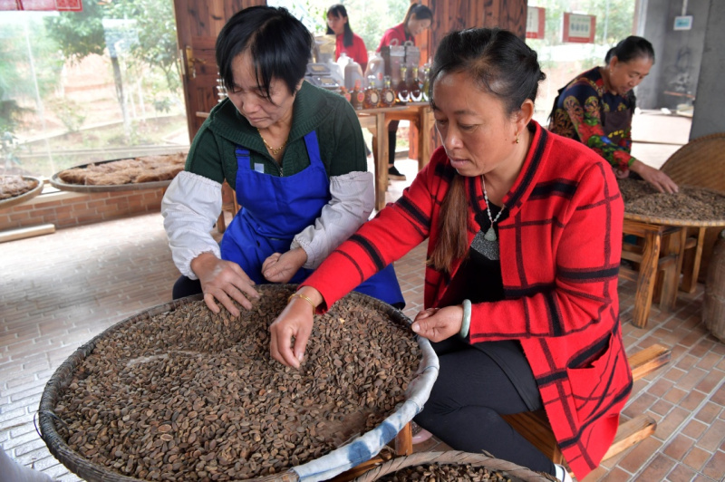 致富经小吃的创业视频_致富经开小吃_小吃致富经