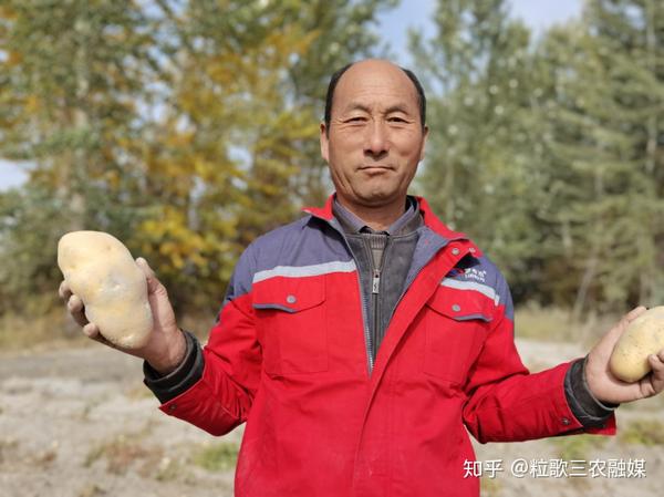致富经韭黄种植视频_致富经央视韭黄种植_农广天地韭黄种植技术视频
