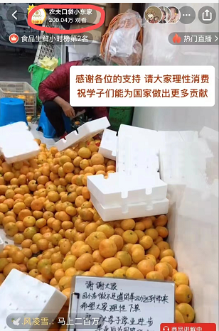 蜜桔怎么种植技术_蜜桔的种植_蜜桔种植技术视频