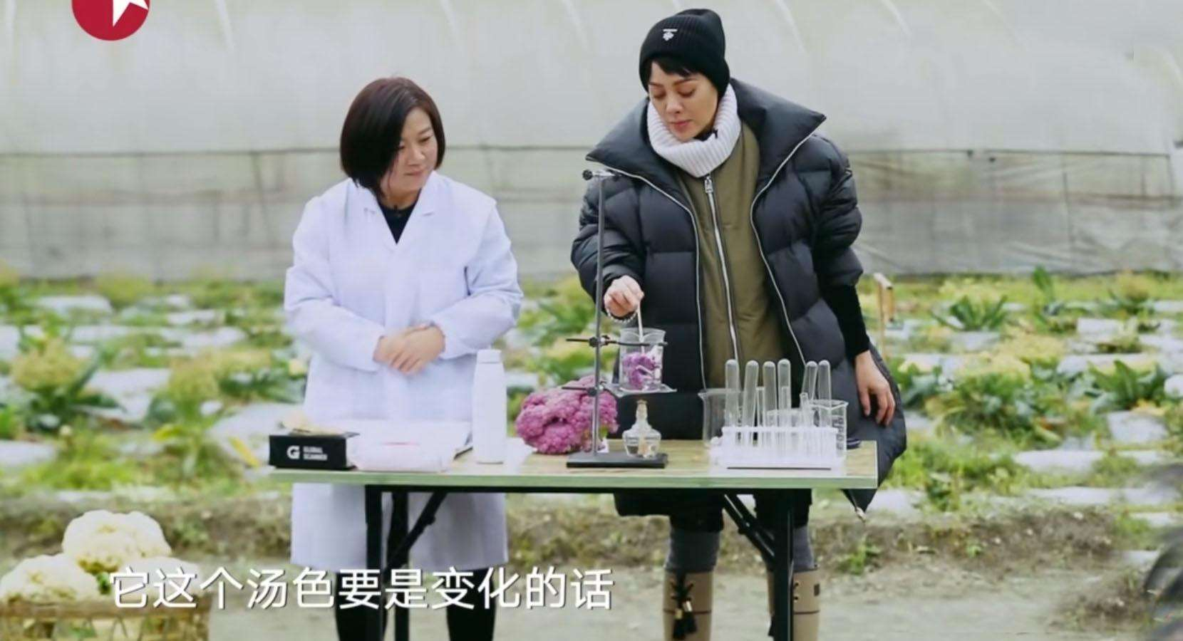 种植花菜致富吗_致富种植花菜图片_花菜种植利润