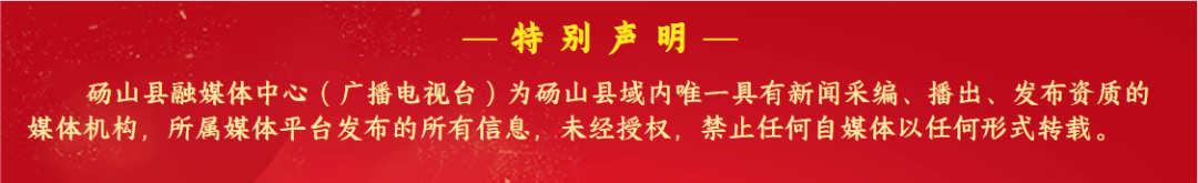 西瓜种植效益_西瓜种植铺就致富路_种植西瓜增收致富