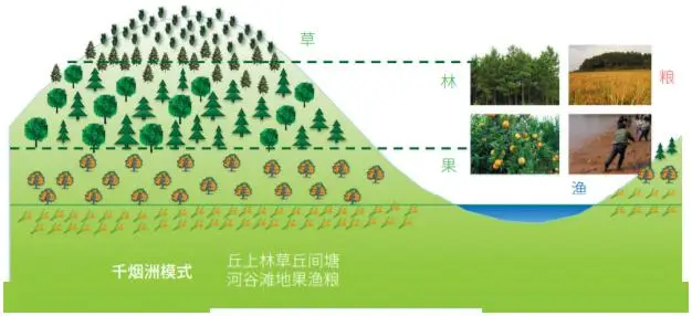 棉花养殖技术_棉花养殖条件_棉花养殖技术规程