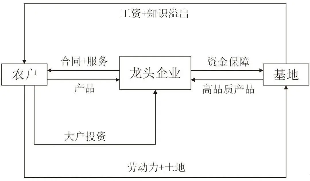 棉花养殖条件_棉花养殖技术_棉花养殖技术规程