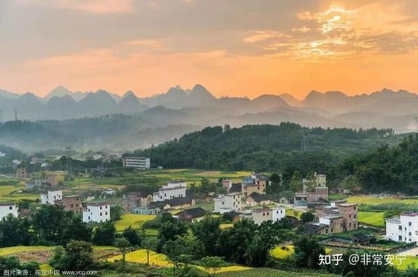 种树致富经_种植风景树致富_种树致富全部视频