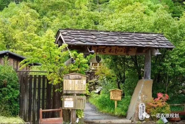 种树致富全部视频_风景树种植致富经_种植风景树致富
