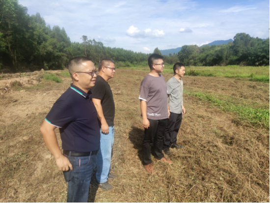 地黄种植致富_农村种植什么能致富_广东丘陵种植致富