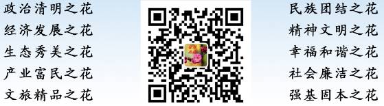致富经大棚种菜技术_鼓励大棚种植致富_种植大棚带领村民致富