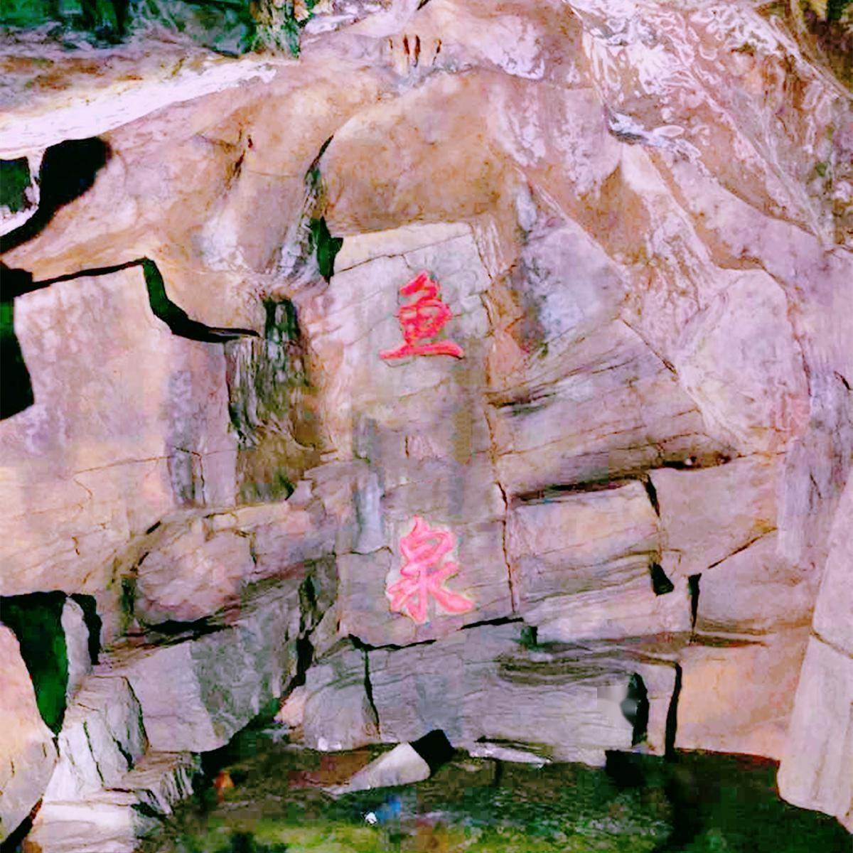 致富泉水养殖项目介绍_致富经山泉水养鱼完整视频_泉水养殖致富项目