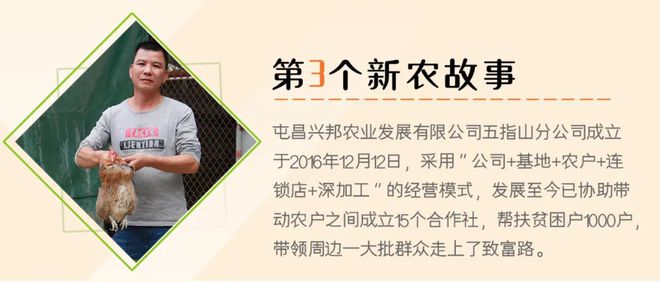 新农3千户贫困户 共享致富经 五指山畅好农场发展蚂蚁鸡产业促集体增收