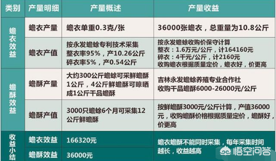 致富经癞蛤蟆药_致富经癞蛤蟆药_致富经癞蛤蟆药