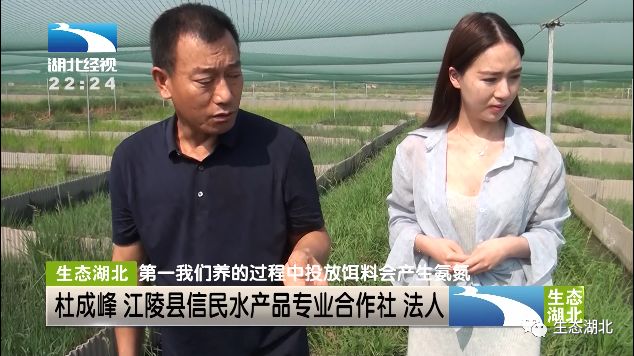 致富经乌龟养殖场的视频_养殖食用龟致富_致富经乌龟