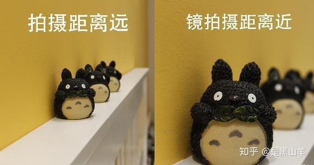 黑山羊养殖技术视频_黑山羊养殖视频_养殖黑东山羊技术
