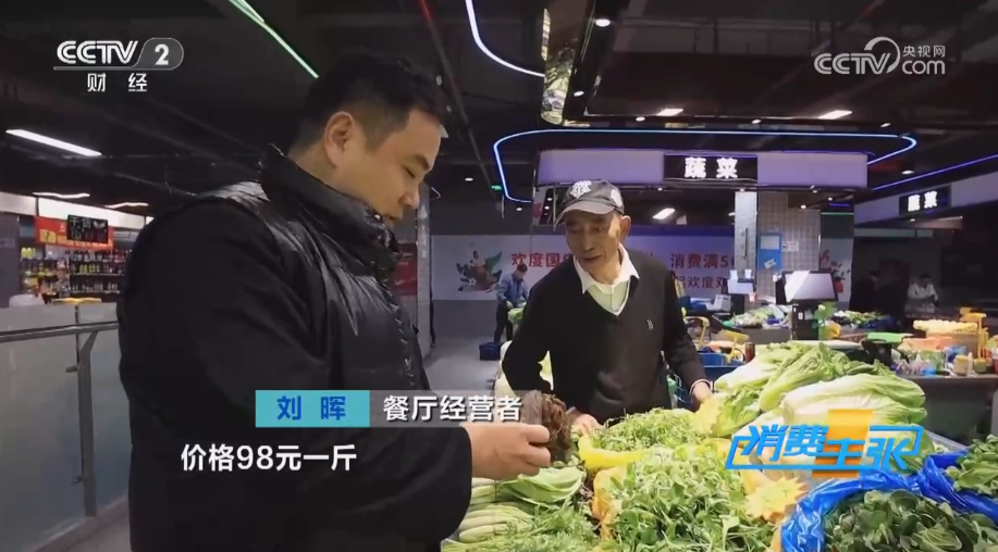 致富种植弥勒香椿好吗_弥勒香椿种植基地_弥勒种植香椿致富