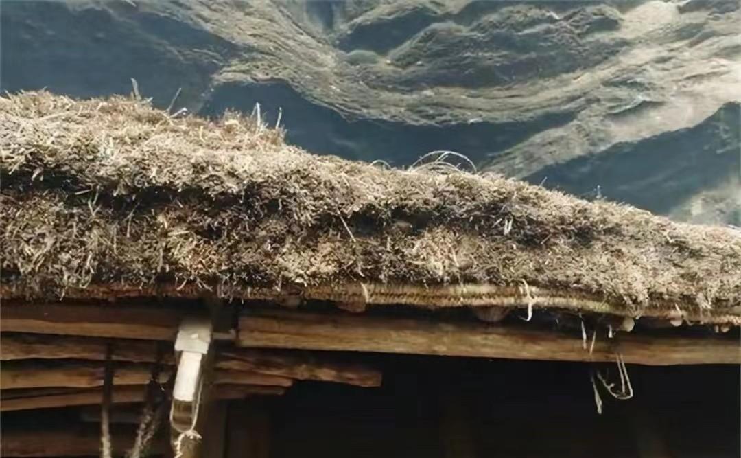 致富经山泉水养鱼完整视频_致富泉水养殖项目招标_泉水养殖致富项目