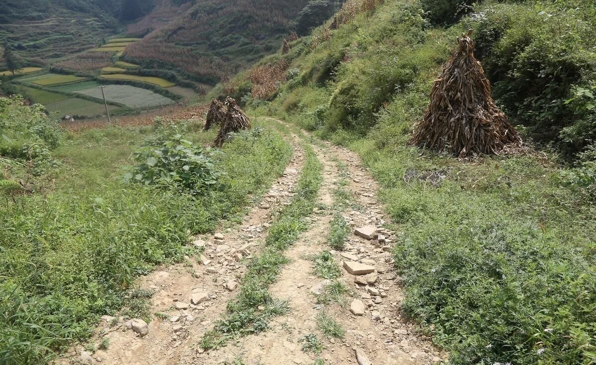 致富经山泉水养鱼完整视频_致富泉水养殖项目招标_泉水养殖致富项目
