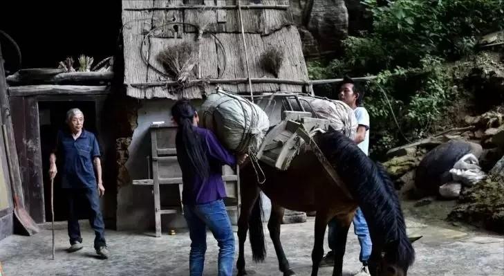 致富泉水养殖项目招标_致富经山泉水养鱼完整视频_泉水养殖致富项目