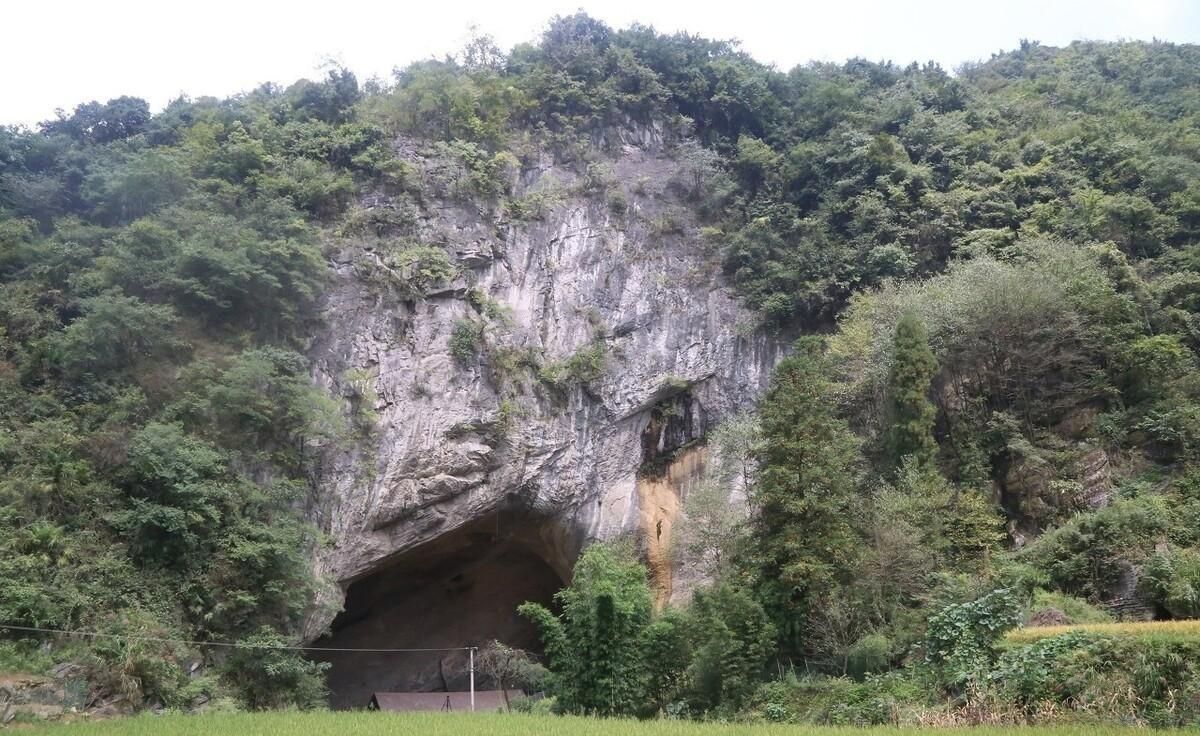 致富经山泉水养鱼完整视频_致富泉水养殖项目招标_泉水养殖致富项目