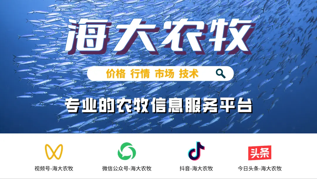 鱼情分析 | 加州鲈养殖的未来在哪里？这些数据或许能够给你答案！