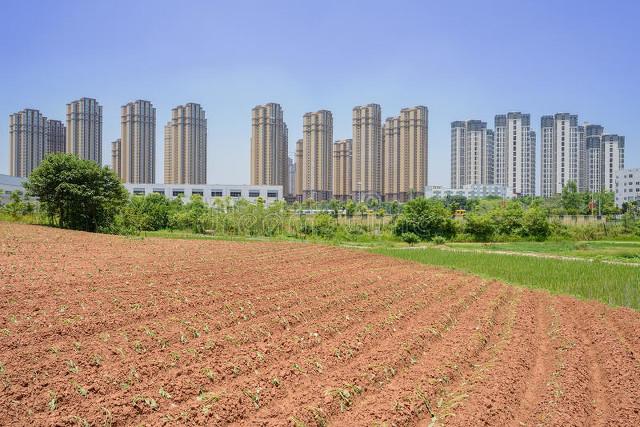 养殖视频致富经_养殖脱贫致富_扶贫养殖致富视频