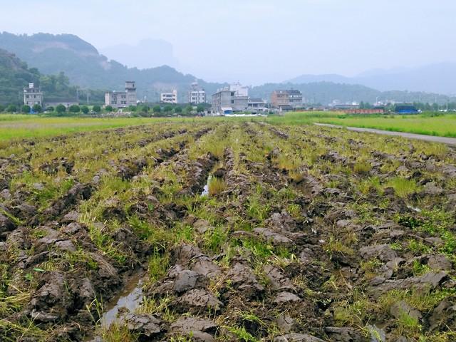 扶贫养殖致富视频_养殖脱贫致富_养殖视频致富经