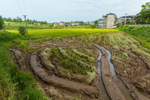 养殖脱贫致富_养殖视频致富经_扶贫养殖致富视频