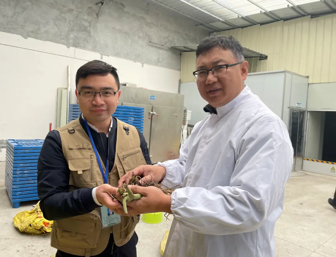 永福种植致富_永福苗木种植_永福养殖