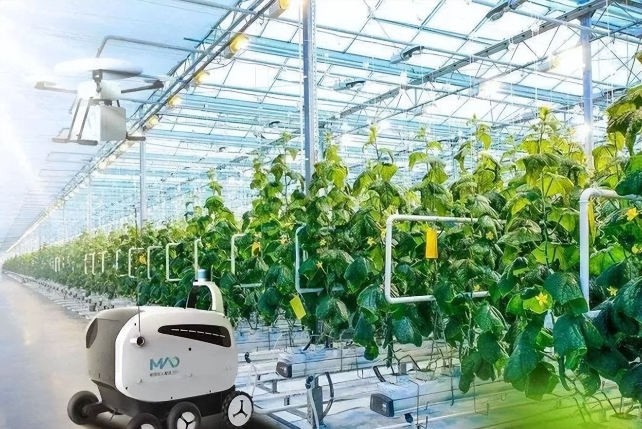 致富种植视频全集_种养致富_农业致富网种植