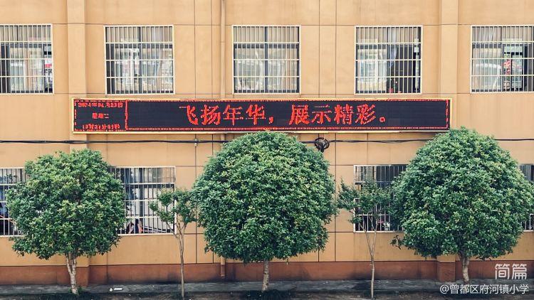 网络课程分享_网课的经验分享_优质网课分享经验