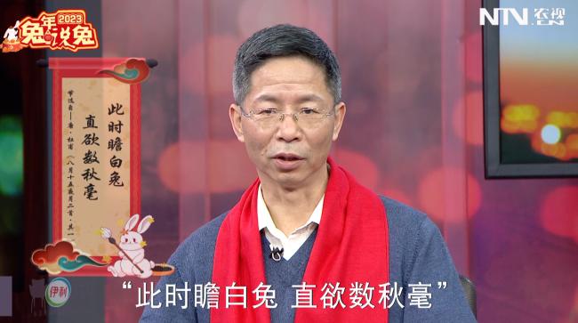 致富经野兔养殖视频_养殖野兔致富故事_养殖野兔子前景如何