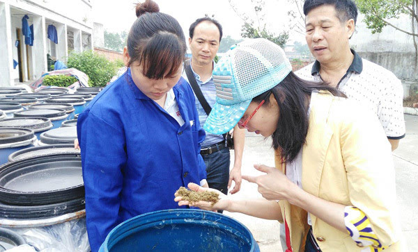 种植牧草致富视频_致富经种牧草养殖视频_视频致富种植牧草是真的吗