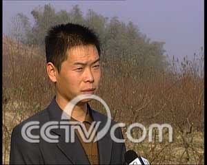 致富经大棚草笼养鸡_大棚种草养鸡视频农业农村_大棚种草养鸡