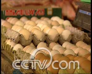 大棚种草养鸡视频农业农村_致富经大棚草笼养鸡_大棚种草养鸡