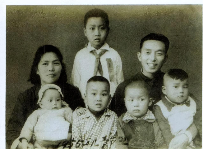 关于鹌鹑养殖的书_鹌鹑养殖致富书籍_致富经养鹌鹑