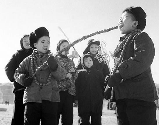鹌鹑养殖致富书籍_关于鹌鹑养殖的书_致富经养鹌鹑