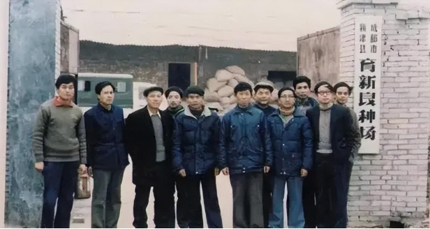 鹌鹑养殖致富书籍_致富经养鹌鹑_关于鹌鹑养殖的书