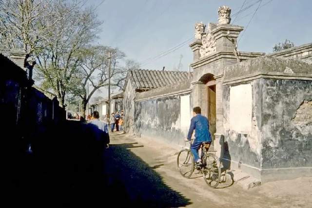 关于鹌鹑养殖的书_鹌鹑养殖致富书籍_致富经养鹌鹑
