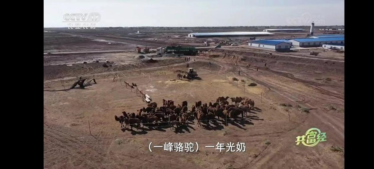 致富经_2016cctv7致富经_致富经2023年最新全部视频