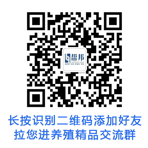 蟹苗要养多久_螃蟹养殖技术放苗时间_蟹苗放养的最佳时间