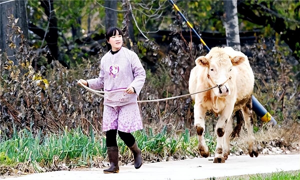 23岁养殖致富_致富养殖好项目_致富养殖什么最赚钱