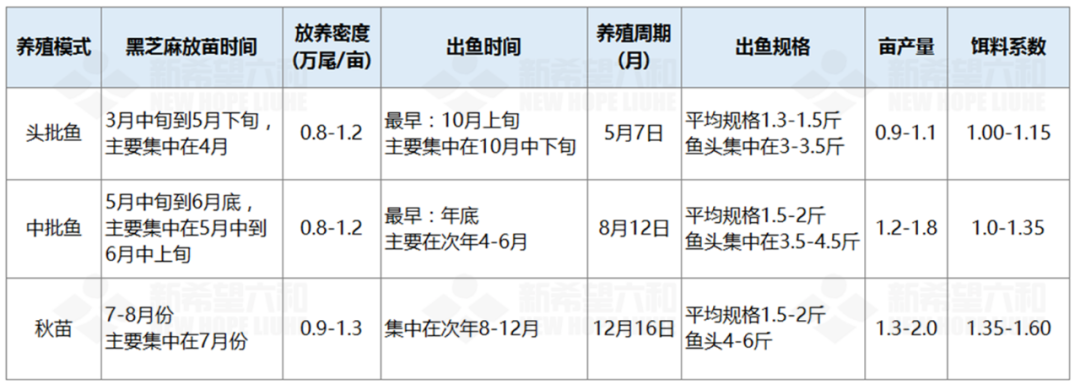 生鱼的养殖技术_养殖生鱼要注意事项_养殖生鱼技术与管理