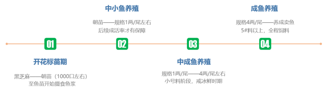 养殖生鱼技术与管理_生鱼的养殖技术_养殖生鱼要注意事项